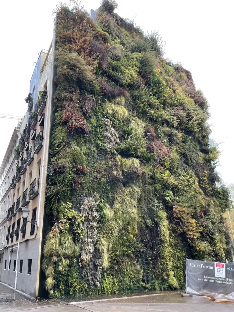 madrid city living wall