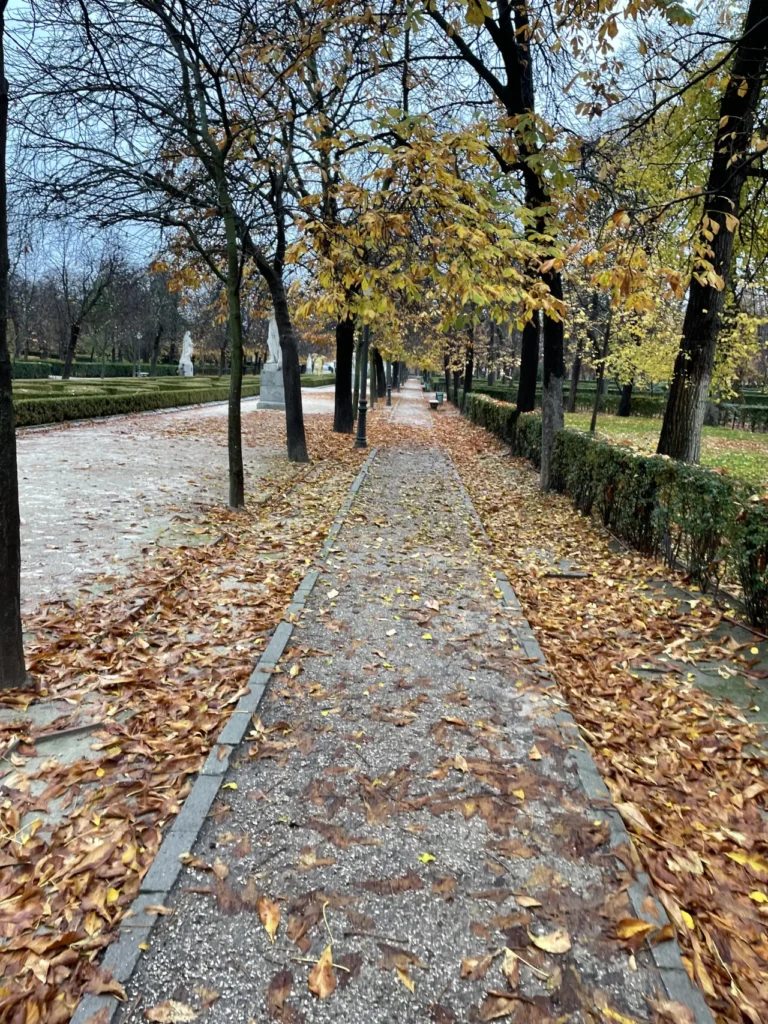 madrid city parque de el retiro yellow leafs