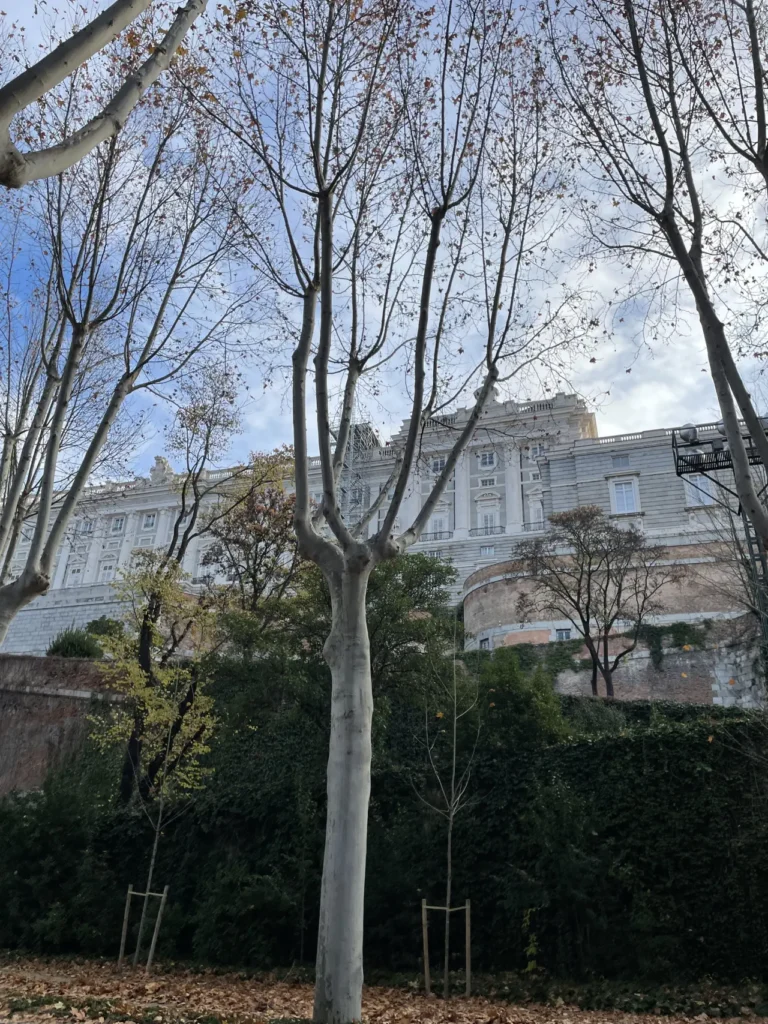 madrid city from parque de atenas campo del moro view